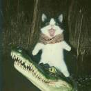 大卫.黛的头像-风行者社区