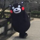 呵呵以嘿嘿的头像_Qpipi