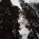 wx_静观89