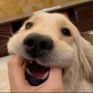 的头像-梦楠分享