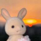 o5goIwv4yXh6ZohYB8Y1cTKlTDxQ