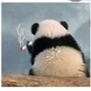 ღ᭄ꫛ爱我所爱꧔ꦿ᭄