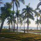 文涛的头像-创薯资源