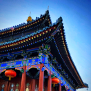 隨機(jī)而動(dòng)