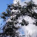 如果再来一次的头像 