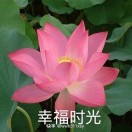 熙妍奶奶👵