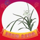 vicent