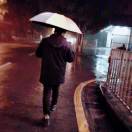 陈先生的头像