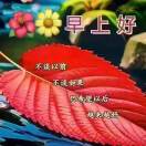 马秀玲13095052112-义乌朱哈网络科技