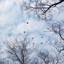 fretom的头像-熵减岛