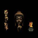 星贸汇(CTO)的头像-凌久源码网