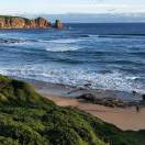  缘来木子李