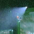 包欣雨