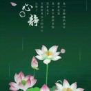 wx_小马哥1346929458998