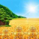 潮点用户_21763151头像