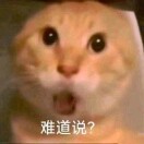 dw的id的头像-VAM®克苏恩资源社区