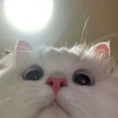 烨璇