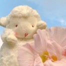 栀安的头像 - 校园论坛