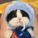 周 报名时间：2025-10-28 13:16