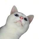 哈哈哈的头像-博士钣金 - www.bsbanjin.com