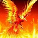 154059975's Avatar