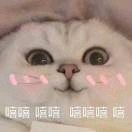 庄先生的头像