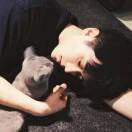 歌伍谷先森的头像-创薯资源