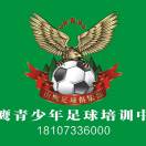 山鷹青少年足球訓(xùn)練營