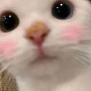 敏。