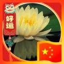 冰嫣