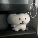 陈梦洁