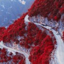 傲从骨生