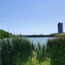 桑菲尔的钢琴谱