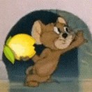 星晨的头像-长游分享网