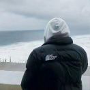 Dryad的头像-创薯资源