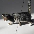 阿华（18401297450）打两次接通