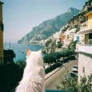 arvinserver的头像-大众奥迪MQB刷隐藏|改装升级教程|学习教程|固件|编码缘众日记