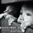 别低头的头像-澳门国际