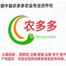 A小杨   果蔬     15378316222