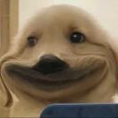 不想取名的头像-拟人圈