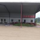 大成蔬菜代收15965863839