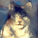 Edison Building,转租&房东直租