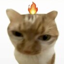 Recardo