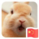 星宿是真的