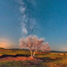 土豆土豆我是土豆