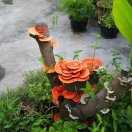 wx_耿秉言23