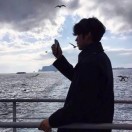 杨先生的头像