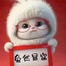 会飞的兔子