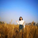 经济学通识课