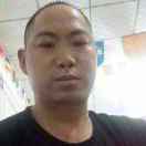 茅河茶苗15181223481